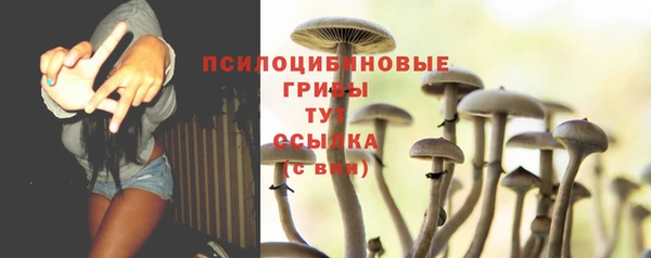 соль курить ск Белокуриха