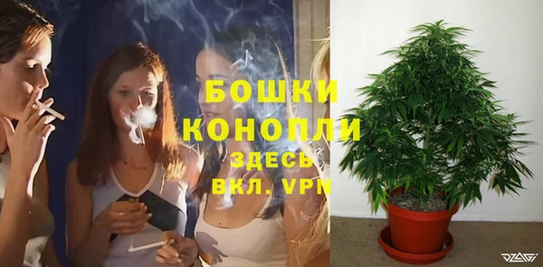 соль курить ск Белокуриха